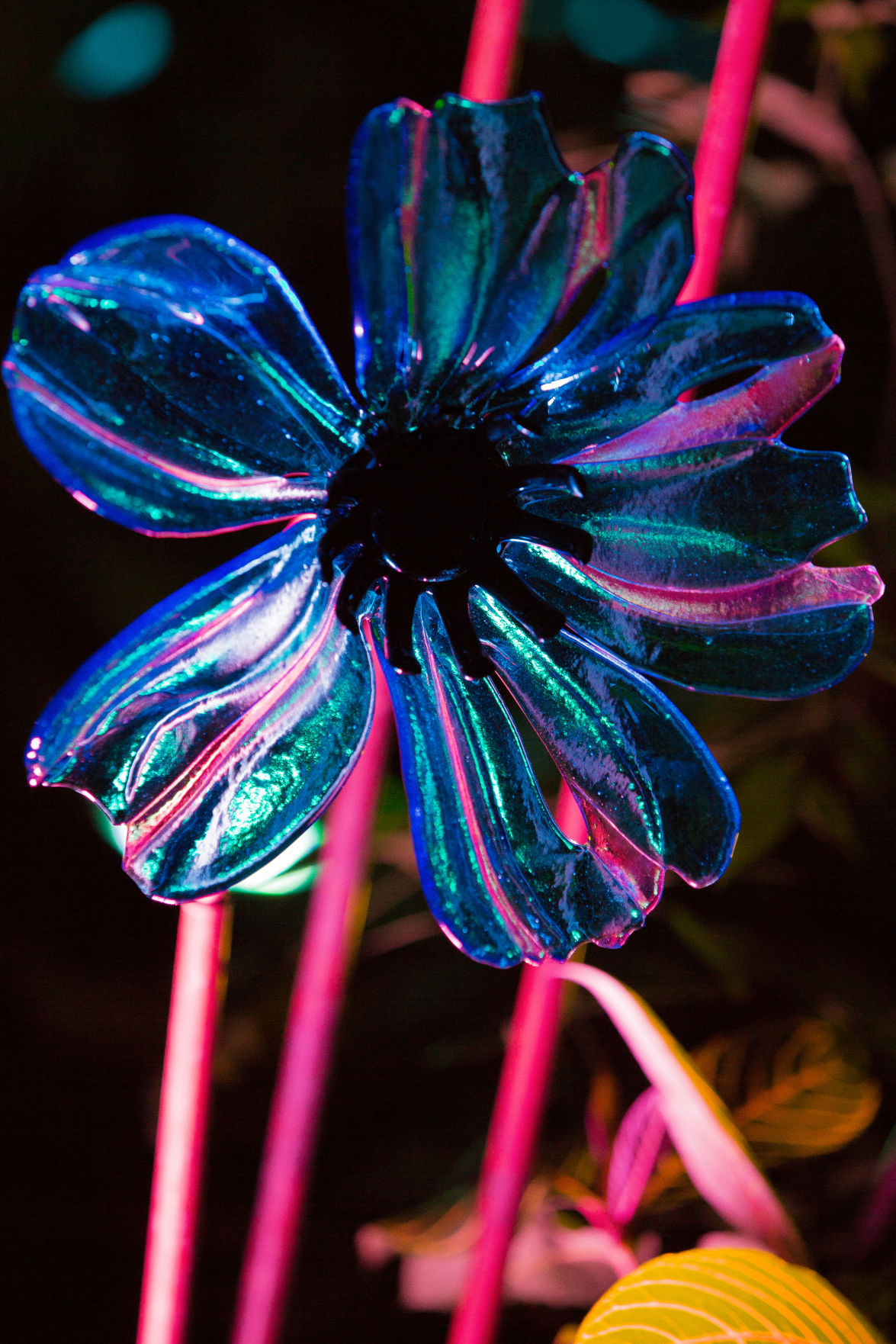 Garden of Glass_Night_Du33.jpg